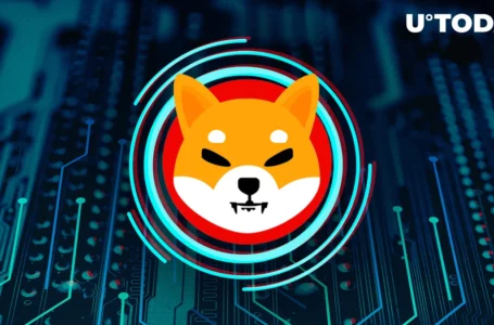 Shiba Inu Exciting News Ahead? SHIB Ecosystem Official Offers Epic Prediction