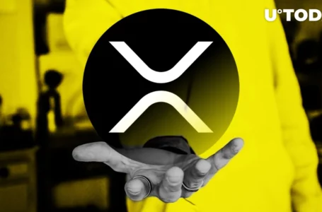 XRP Holders to Receive This Airdrop, Here’s How to Claim