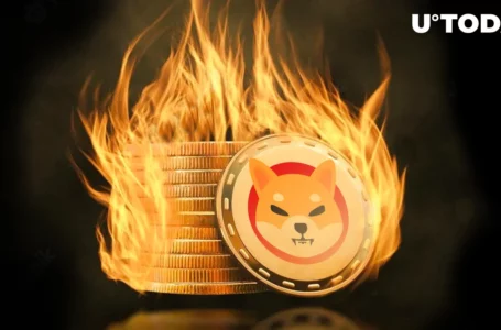 Shiba Inu Sees Epic 1.1 Billion SHIB Weekly Burn First Time in Months