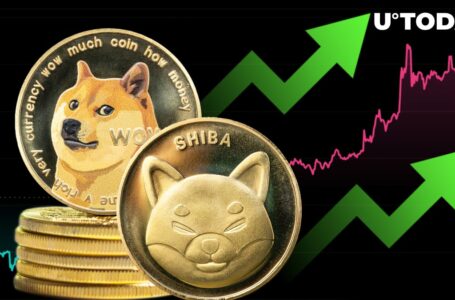 Shiba Inu (SHIB) and Dogecoin (DOGE) Lead Meme Coin Surge, Decoupling From Bitcoin