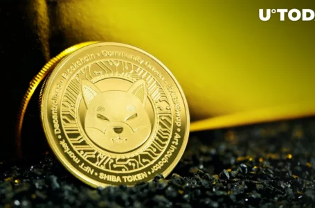 Shiba Inu (SHIB) Is on Verge of Golden Cross