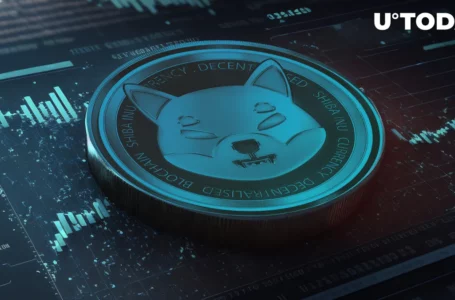 Shiba Inu (SHIB) Joins BTC and ETH in Voyager’s Major Asset Sell-Off on Coinbase