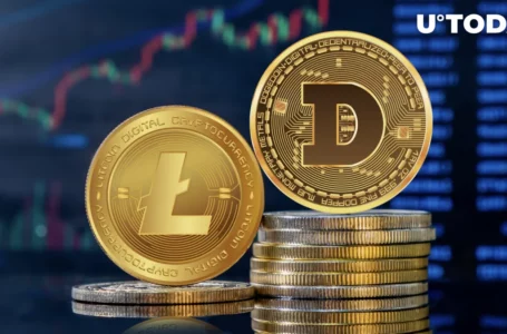 Litecoin and Dogecoin Stand Out With Increased Activity