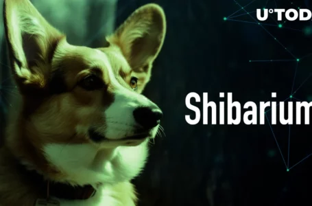 Shiba Inu Lead Shytoshi Kusama Urges Development Team to Rest Ahead of Big Week for Shibarium