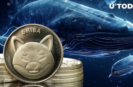 Shiba Inu (SHIB) Whales Abandoned Sinking Ship