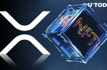 XRP Ledger Set to Gain New NFT Amendments, Here’s More