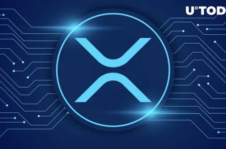 Full XRP Support and Reserves Confirmed by Major Platform’s CEO