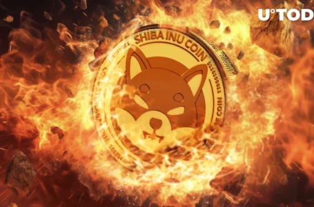 Shiba Inu (SHIB) Sheds 100 Million Tokens in Fiery Furnace