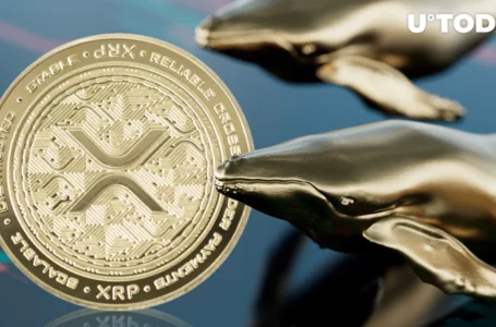 XRP Whales Accumulating Billions of Tokens as XRP Price Surges Green