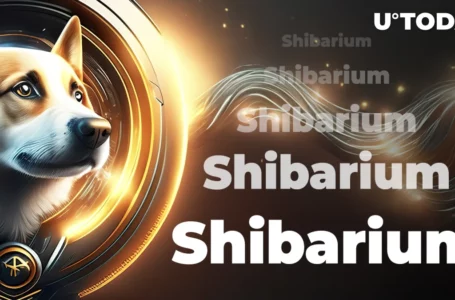 Shibarium Basic Design Explained by SHIB Team Member: Details