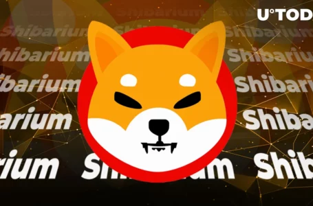 Shibarium Receives Major Boost as Shiba Inu (SHIB) Partner Launches Own Validator Node