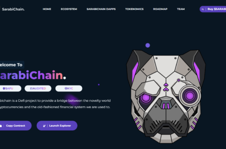 SarabiChain(SARABI) Review: A Defi Project To Provide A Bridge Between The Novelty World of Cryptocurrencies