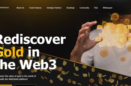 Web3Gold (WRB3G) Review: All You Need To Know