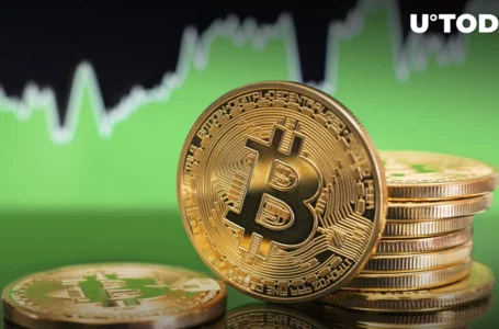 Bitcoin Rally May Be “Brewing”: Glassnode Co-Founder