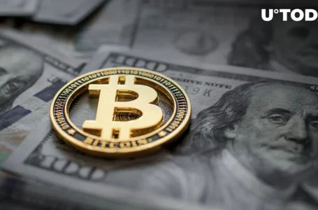 Bitcoin User Just Paid Half a Million Dollars for a Single Transaction