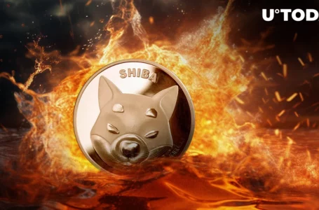 SHIB Army Burns Millions of Shiba Inu, Pushing Burn Rate High into Green