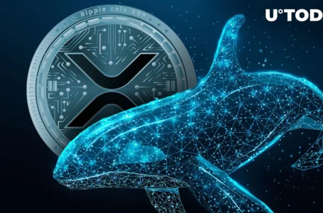 Did Whales Deny XRP’s Attempt to Reach New Price Threshold? Data Dive