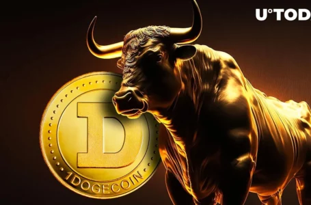 Dogecoin (DOGE) Might Fuel Next Bull Rally, Here’s Reason