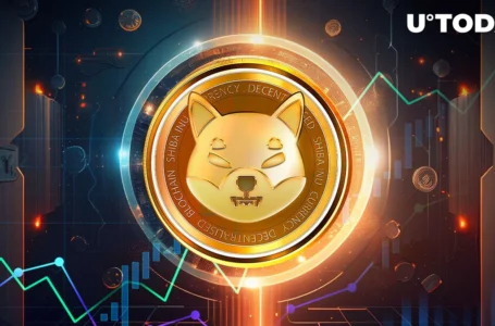 Shiba Inu (SHIB) Symmetrical Triangle Is Here, Here’s What Might Happen