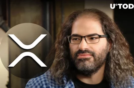 Ripple CTO Puzzles XRP Community With New Enigmatic Pop Culture Tweet