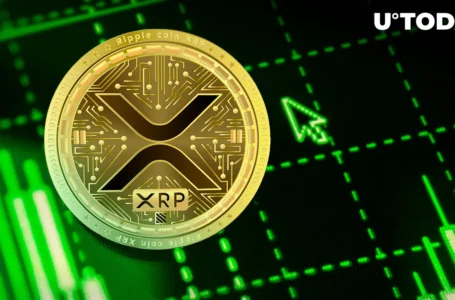Close to Billion XRP Moved by Unknown Wallets and Ripple as Investors’ Interest to XRP Remains High