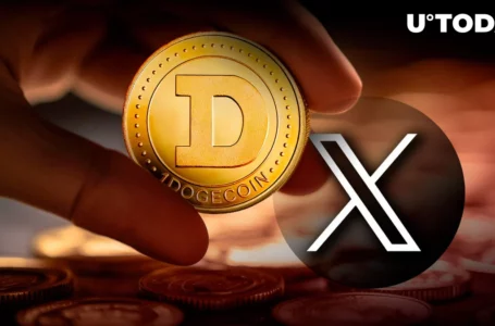 DOGE Founder Says His X App Paycheck Shrinks, He Reveals Why