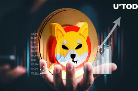 Shiba Inu’s Shibarium Hits Multi-Million Milestone in Record Time