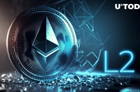 Ethereum (ETH) Investor Explains Three Benefits of Inter-L2 Bridges