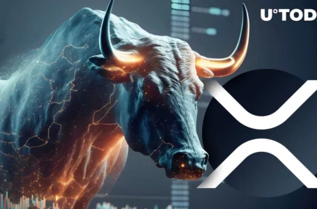 XRP Plots Next Actions Amid Unexpected Slump in User Count