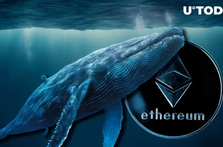 Whale Buys 19,508 ETH in Last Two Days, Buying Dip or Insider Trading?