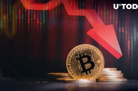 Bitcoin (BTC) Price Drop Might Be Telling Us Something, Here’s Why