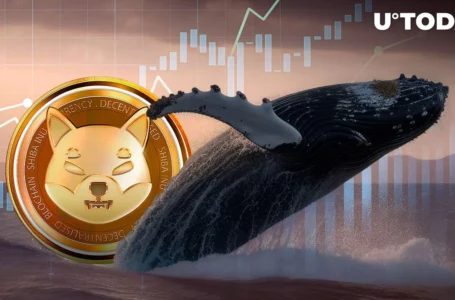 Shiba Inu (SHIB) up 500% in Whale Transactions: What’s Happening?