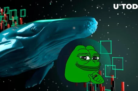 762 Billion PEPE Sold by This Whale at Loss as Price Staggers: Details