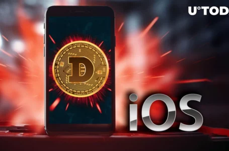 Dogecoin Community Warned of Major iOS Vulnerability
