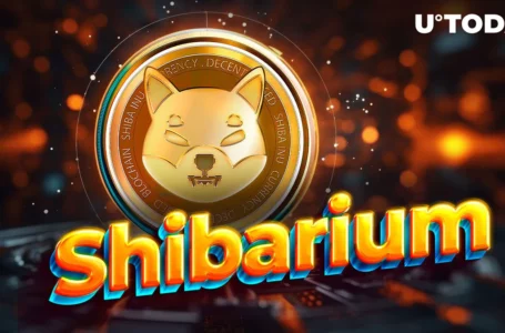 Shibarium’s Primary Objective Revealed by SHIB Team Member