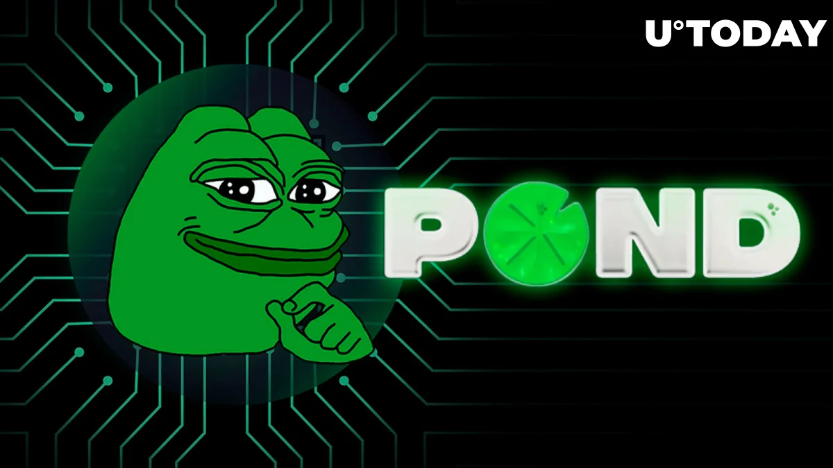 PEPE