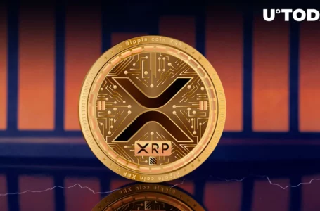 XRP Price Crash Unveils Top Analyst’s Eye-Opening Discovery