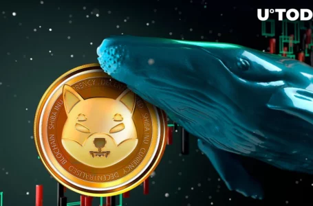 $115 Million Worth of Shiba Inu (SHIB) Transferred By Whales: Price Reaction
