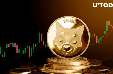 Shiba Inu (SHIB) Shows Conflicting Growth Signs as Price Plummets