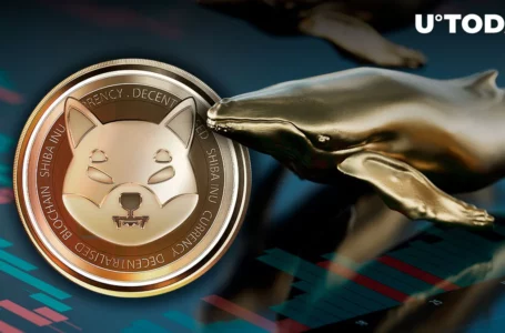 29.2 Billion SHIB Bought and Sold by Whales as Shibarium Hits New ATH