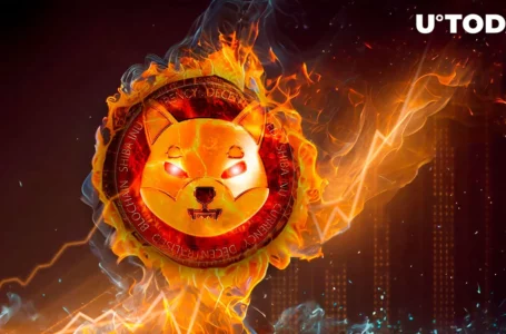 Tons of Shiba Inu (SHIB) Burnt off in Renewed Bullish Run
