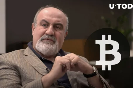 Bitcoin Scarcity Argument Smashed by Black Swan Author, Here’s How