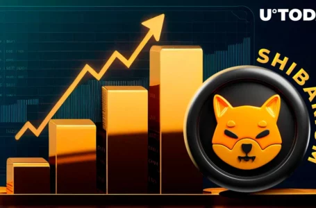 Shibarium Daily Transactions Jump to 200,000 in Surprising Growth
