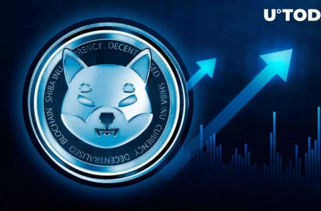 Shiba Inu (SHIB) Key On-Chain Metric Rockets 210% in Stunning Overnight Surge
