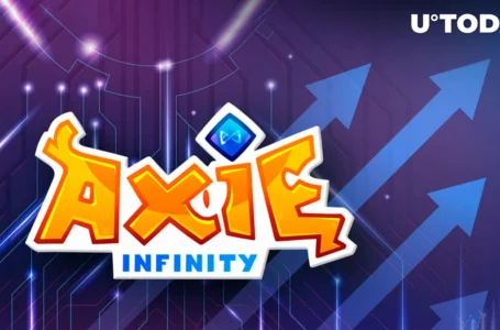 Axie Infinity (AXS) Pumps 20%, Here’s What Happened