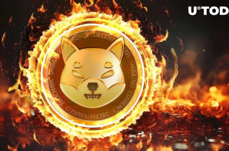 Shiba Inu Army Burns Millions of SHIB as Shibarium Hits New Milestone