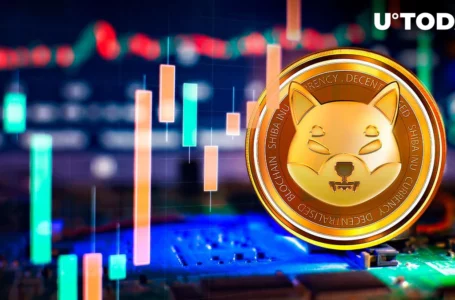 Here’s Shiba Inu (SHIB) Maneuver That Can Change Its Price Outlook