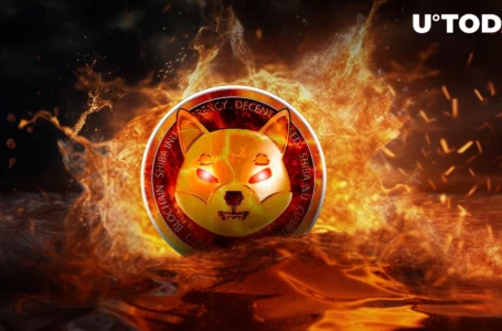 SHIB Army Pushes Burn Rate up Ahead of New Shibarium Record
