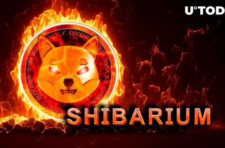 Shibarium-Based SHIB Burns: New Mega-Important Upgrade Revealed