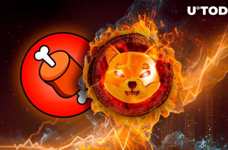 SHIB Burns Suddenly Jump While New Shibarium BONE Tracker Emerges